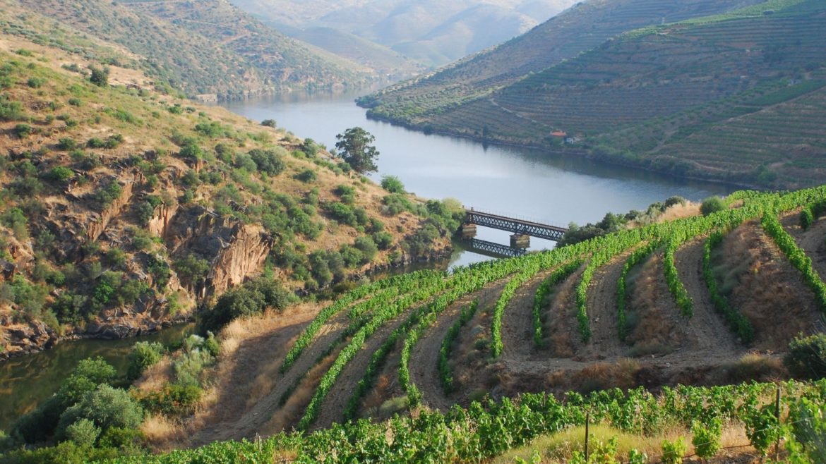 Região do Douro é a “Cidade Europeia do Vinho 2023”