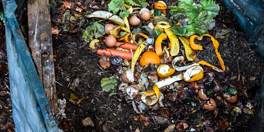 Vila Real avança com recolha de resíduos orgânicos para diminuir lixo em aterros