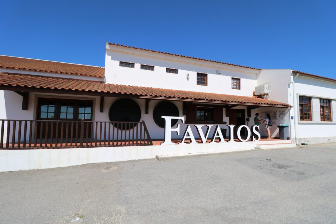 Adega de Favaios organiza o 3º encontro sobre Vinicultura Regenerativa