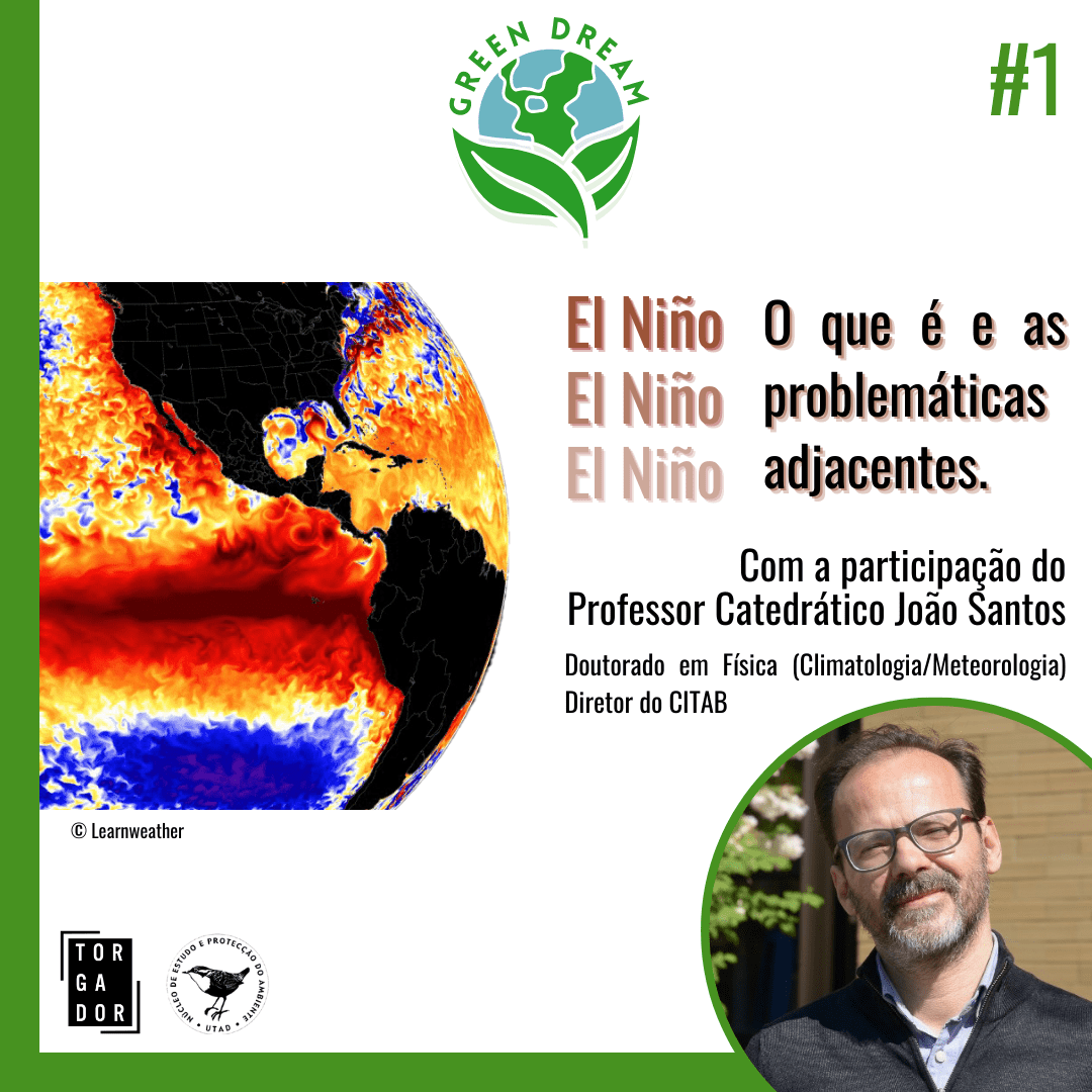 El Niño: O que é e as problemáticas adjacentes | Green Dream