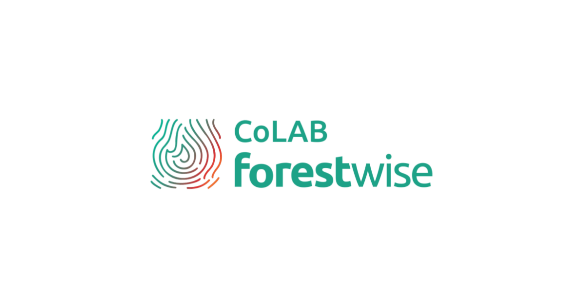 CoLAB ForestWISE comemora 6º Aniversário 