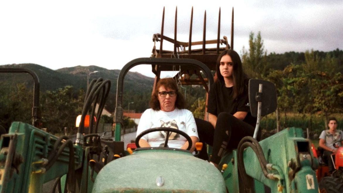 Teatro de Vila Real exibe “A Savana e a Montanha” em Cinema ao Ar Livre