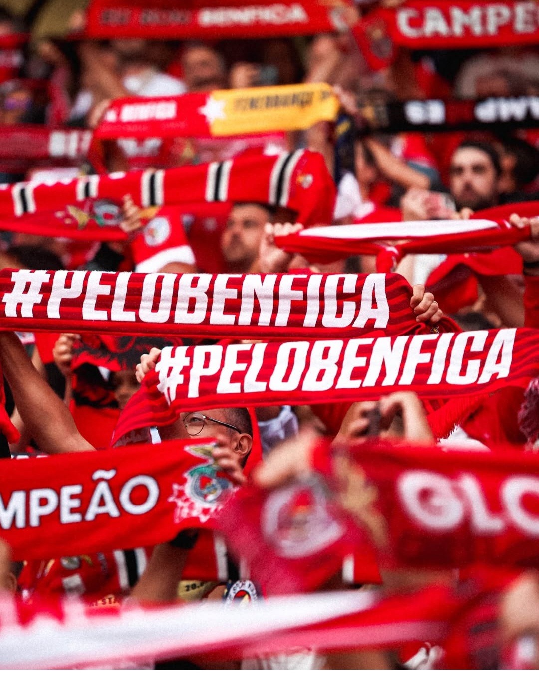 Um turco na Luz, um bilhete para a Champions|SL Benfica 1-0 Fenerbahçe SK