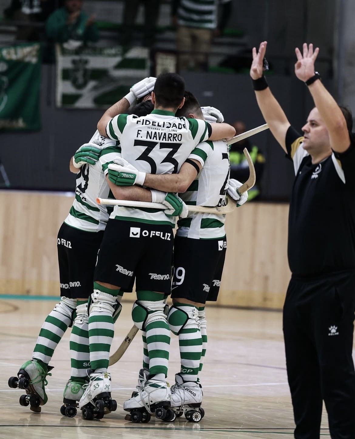 Duelo de Titãs Vol.3: A fúria dos Leões Patinadores