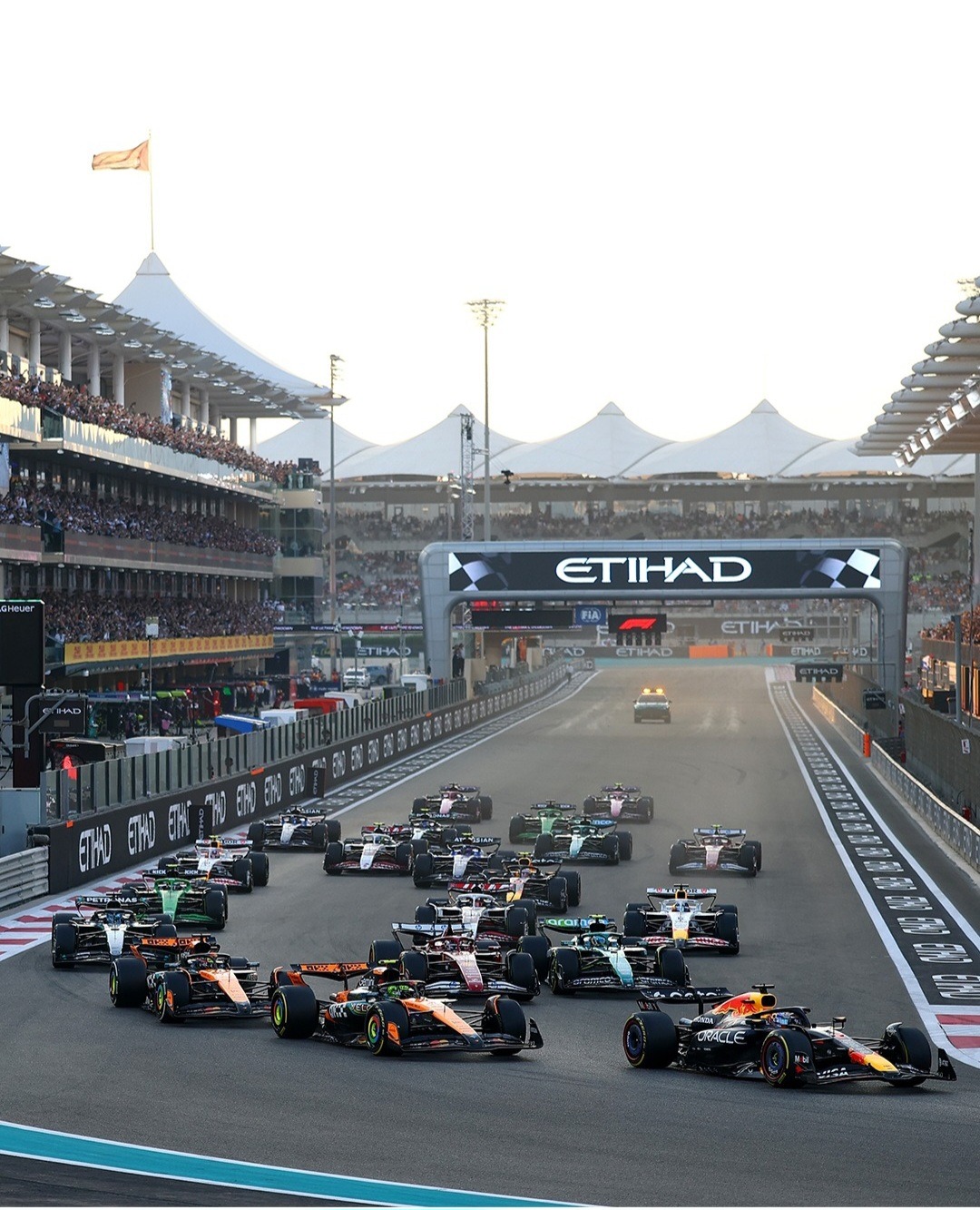 The last dance: o tudo ou nada