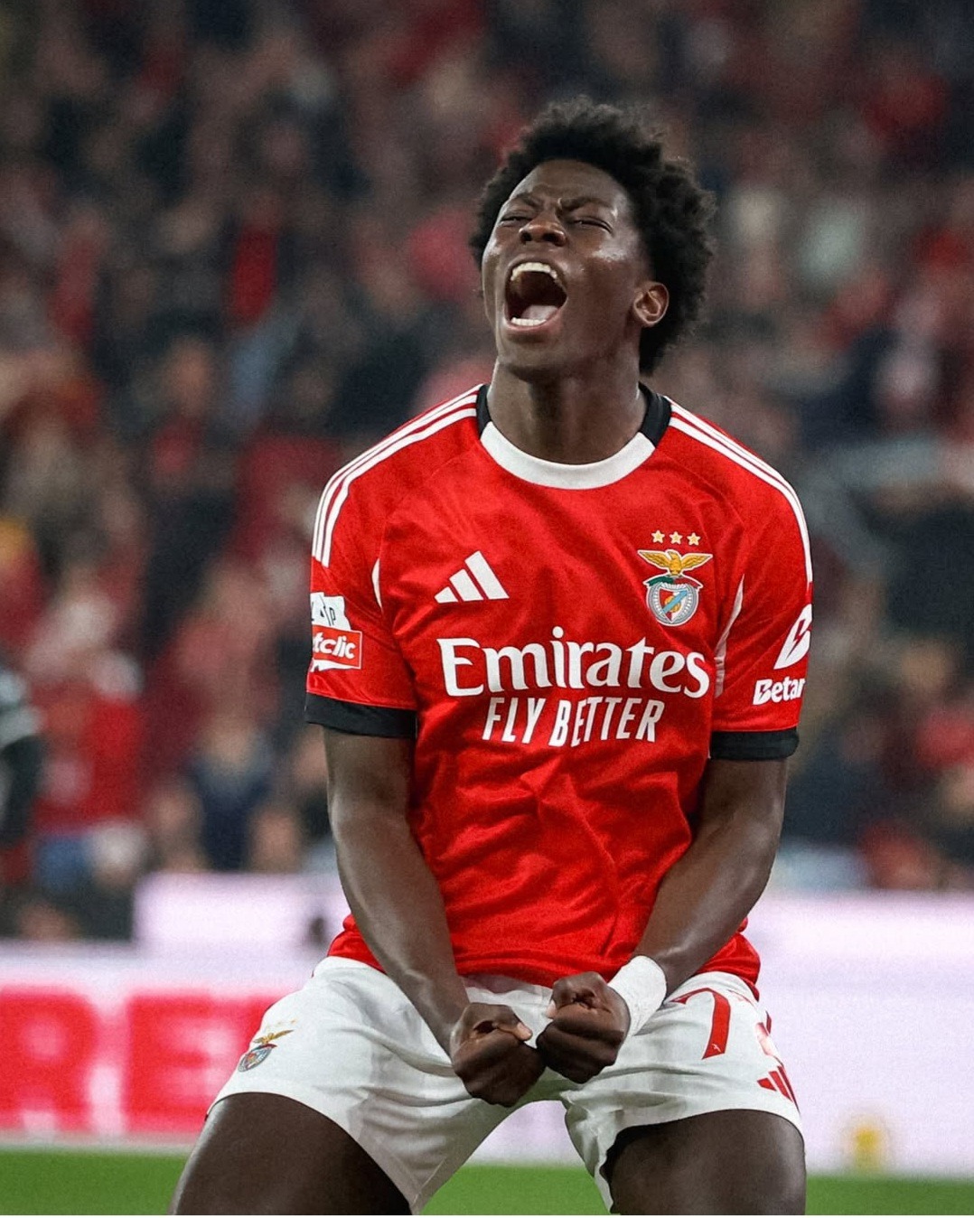 Noite de goleada no Estádio da Luz