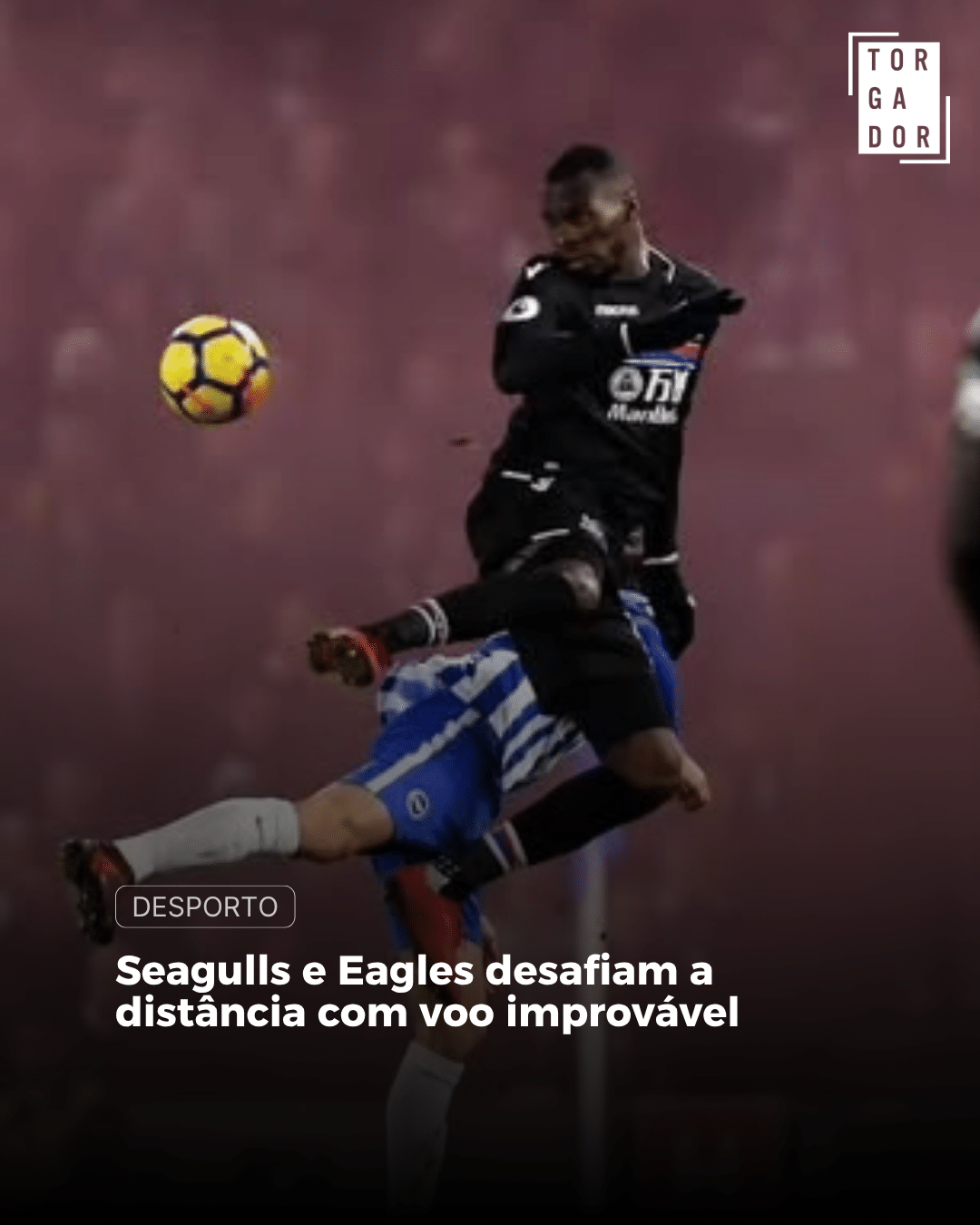 Seagulls e Eagles desafiam a distância com voo improvável